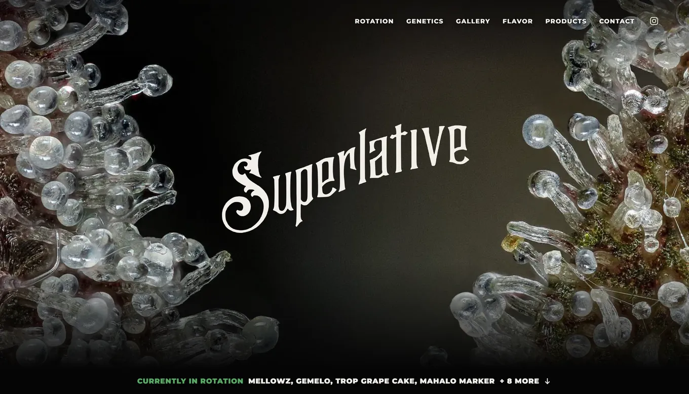 Superlative home page: the wordmark over macro photos of trichomes, with the current rotation listed underneath